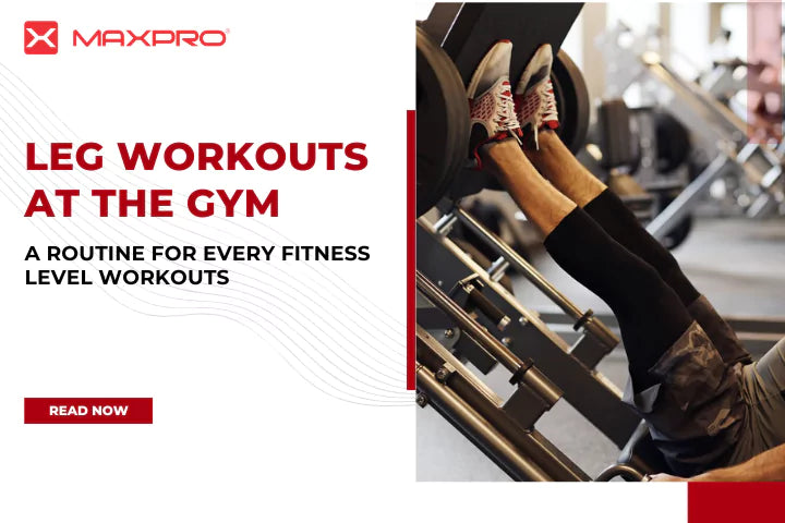 Leg Workouts at the Gym: A Routine for Every Fitness Level Workouts at the Gym